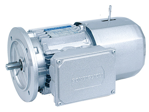 Italian BONFIGLOLI IE1 ac motor BN